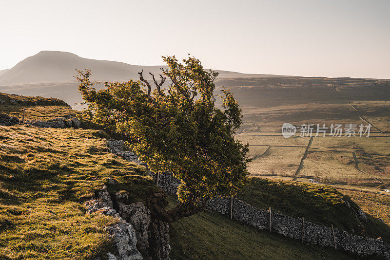 英国，英格兰，约克郡山谷，Twistleton Scars